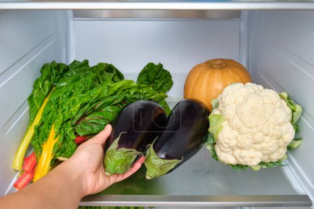 Photo for Hand picking a eggplant from the fridge. Bunch of rainbow swiss chard, cauliflower, squash, eggplant in the fridge. Fresh vegetables. - Royalty Free Image