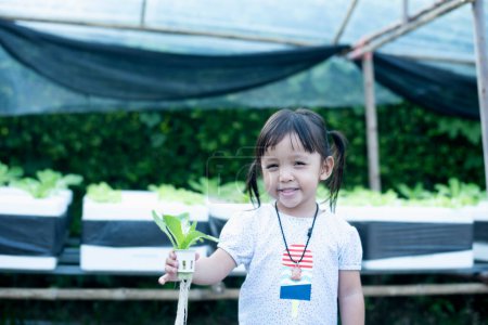 Foto de La mano de la niña sostiene una olla hidropónica blanca con plántulas vegetales que crecen en una esponja. Cultivar verduras sin tierra Ideas para enseñar a los niños a cultivar sus propias verduras. - Imagen libre de derechos