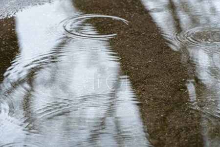 Photo for Raindrops on surface puddle in street road. Rain fall and leaving circles on water. Dark silhouettes of trees reflection in transparent puddle. Splashing leaving on surface ripple. Bad sad weather. - Royalty Free Image