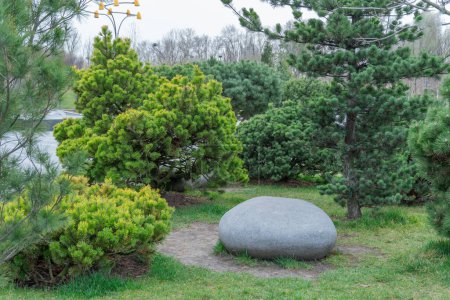 Application natural stone in landscape design. Lawn in garden with big stone and coniferous trees. Manicured green plants in gardening. View exterior scenery in public park. Example for designers.