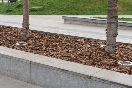 Mulching of tree trunk with bark for park design. Decorative piece mulch strewning on flowerbed. Wood chips natural pine brown colored for lawns. Organic environment product in landscaping.