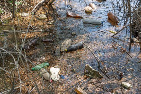 Vertedero de basura en el bosque esparcido en el río. Basura de plástico en el lago después del picnic. La gente tira basura ilegalmente. Problema ecológico mundial de la protección del medio ambiente. Montón de basura en la naturaleza.