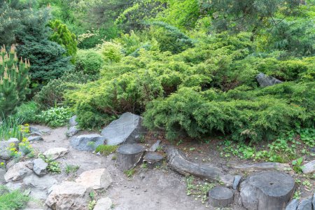 Aplicación piedra natural en el diseño del paisaje. Camino de piedra en el jardín con arbustos flores árboles. Hermosas plantas verdes cuidadas en la jardinería. Ver el paisaje exterior en el parque público. Ejemplos de diseñadores.