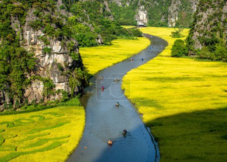 Photo for Aerial view of the tourist site in Tam Coc, Ninh Binh, Vietnam during the Festival "The Golden Color of Tam Coc" - Royalty Free Image