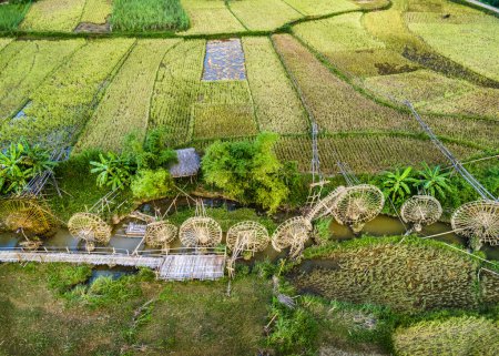 Foto de Ruedas de agua cerca de campos de arroz maduros montañosos en Pu Luong, Vietnam visto desde el aire. - Imagen libre de derechos