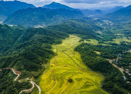 Foto de Campos de arroz maduros montañosos en Pu Luong, Vietnam visto desde el aire. - Imagen libre de derechos