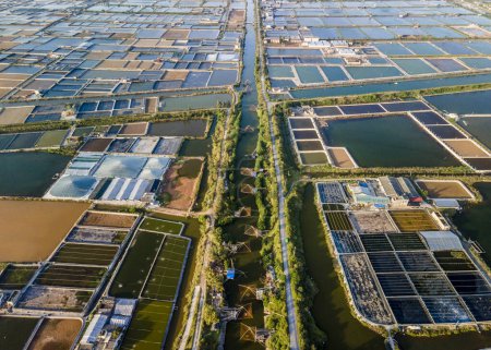 Photo for Aerial view of shrimp breeding farms in Giao Thuy, Namdinh, Vietnam - Royalty Free Image