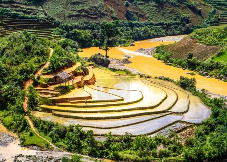 Schönheit der Reisterrassenfelder in Nordvietnam