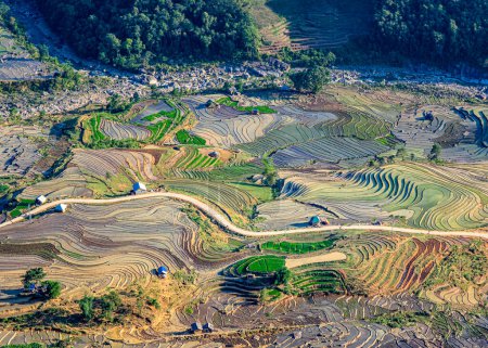 Rice terraced fields in Northern Vietnam in the watering season.