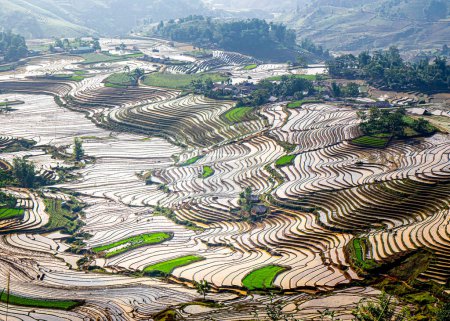 Campos de arroz en terrazas en Vietnam del Norte en la temporada de riego.