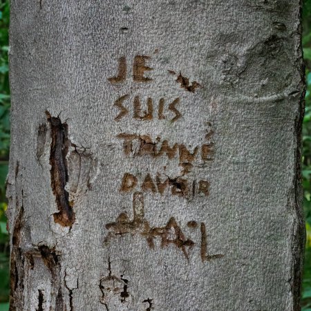 Bark of a tree with carved soul pain inscription in french
