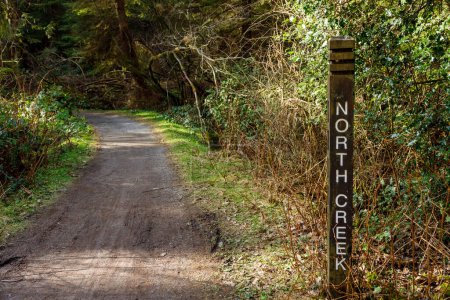 Téléchargez les photos : Vue rapprochée d'une pancarte dans le parc Stanley, Vancouver, affichant les mots "North Creek Trail" - en image libre de droit