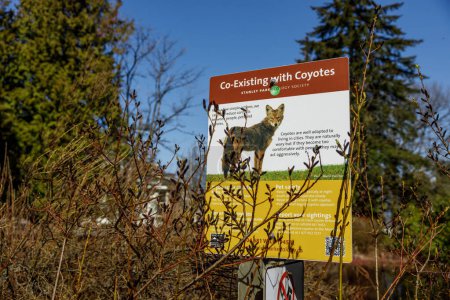 Téléchargez les photos : Vancouver, Canada - 18 mars 2023 : La photo capture la vue d'un panneau à l'intérieur du parc Queen Elizabeth à Vancouver qui dit : "Coexister avec les Coyotes." - en image libre de droit