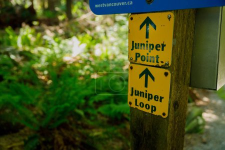 Photo for Vancouver, Canada - May 20,2023: View of a directional sign pointing towards Juniper Point inside Lighthouse Park - Royalty Free Image