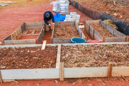 Photo for Men building a wooden frame for a new raised garden bed. - Royalty Free Image