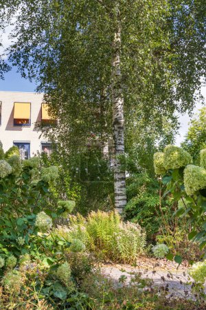 Photo for Leek, The Netherlands - September 10, 2022: Green and cozy garden of nursing home Vredewold in Leek, municipallity Westerkwartier Groningen province in the Netherlanda - Royalty Free Image