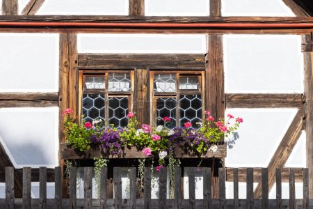 Foto de Vieja ventana con macetas y hierbas en la Abadía de Vessra en Kloster Vessra, Turingia en Alemania - Imagen libre de derechos