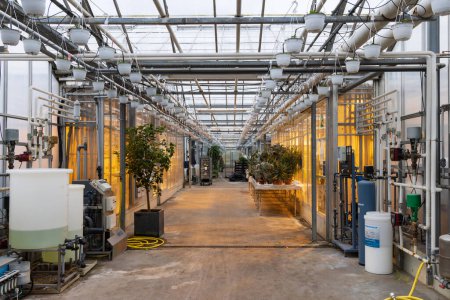 Photo for Aarhus, Denmark - November 16, 2022: Green house overview with plants, lights and all kinds of equipment and fluids - Royalty Free Image