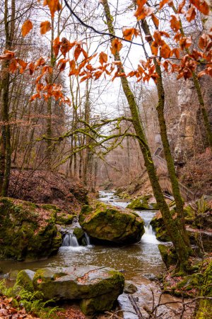 Foto de River Sure along Schiessentumpel in autumn colors in Mullerthal near Echternach in easter Luxembourg, - Imagen libre de derechos
