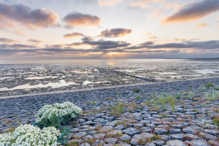 Beau coucher de soleil sur la mer des Wadden Patrimoine mondial de l'UNESCO aux Pays-Bas
