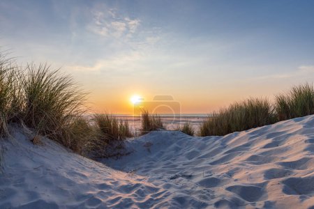 Dünen-Landschaft bei Sonnenuntergang am Strand der Wattenmeerinsel Terschelling Friesland Provinz in den Niederlanden