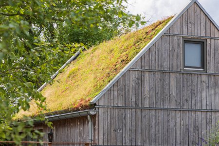 Grünes Dach mit Pflanzen auf Wochenendhaus in Drenthe bei Exloo in den Niederlanden