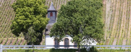 Photo for Picturesque white church between vineyard in Mehring village along the Moselle river in Rhineland-Palatinate in Germany - Royalty Free Image