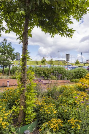 Téléchargez les photos : Delfzijl, Pays-Bas - 8 août 2023 : Parking vert avec jardins ornementaux à Delfzijl dans la province de Groningue aux Pays-Bas - en image libre de droit