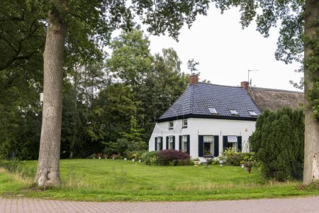Téléchargez les photos : Grande ferme blanche entourée d'arbres dans la commune de Foxwolde Noordenveld en Drenthe Pays-Bas - en image libre de droit