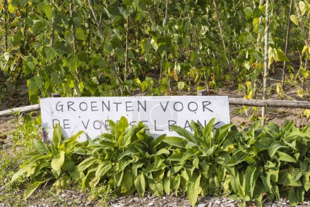 Téléchargez les photos : Panneau d'information néerlandais dans le jardin communautaire d'Ede Gelderland Pays-Bas - en image libre de droit