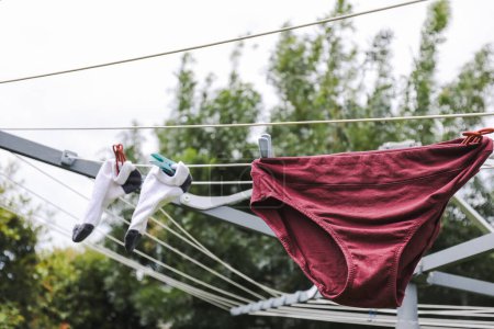 Photo for Wet clean underwear hanging out to dry on clothes line in Australian backyard on a sunny spring day - Royalty Free Image