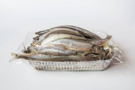 Téléchargez les photos : Poisson capelan dans un bac en plastique sur fond blanc. Petit poisson sur blanc - en image libre de droit