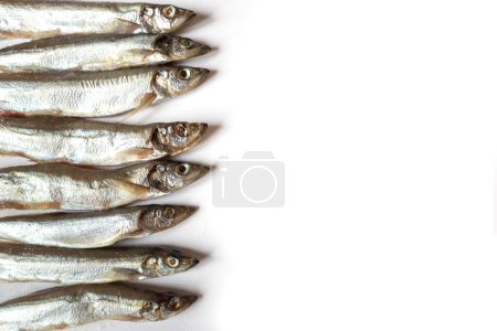 Photo for Small capelin fish on a white background with copy space on the right. Top view photo. - Royalty Free Image