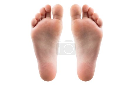 Fuß und Ferse auf weißem Hintergrund. zwei Füße isoliert auf weißem Hintergrund.