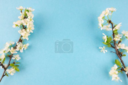 Árboles florecientes de primavera. Concepto de primavera, apertura, plantilla. Flor de cerezo blanco sobre fondo azul pastel con espacio para copiar.