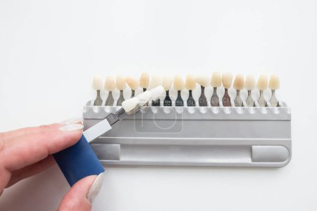 Wählen Sie einen Farbton aus der Farbpalette der Vita Zahnwaage. Zahnweiß-Werkzeug isolieren auf grauem Hintergrund.