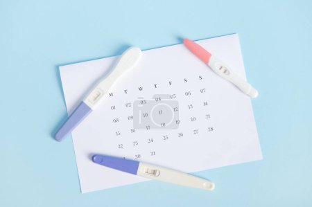 Photo for Top view of an inkjet pregnancy test with a biochemical reaction between hCG and urine appearing in two bars above a white calendar with last menstrual dates marked. Ovulation day. Planning maternity - Royalty Free Image