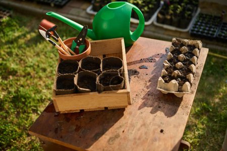 Top view disposable peat pots in wooden box and cassettes with sown seeds, next to a green watering can and gardening tools on rustic wooden table in country garden. Gardening Agriculture Eco farming