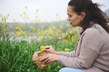 Foto de Mujer adulta joven recolectando hierbas medicinales curativas en la pradera en las montañas. El concepto de medicina herbal, fitoterapia y naturopatía - Imagen libre de derechos
