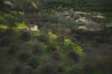 A rural house, countryside building, a farmhouse in the olive grove valley in mountains in the province of Jaen in Spain at sunset. Lifestyle. Agriculture. Agritourism.