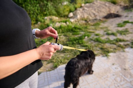 Frau mit süßem Hund nimmt Mülltüte aus Halterung im Park. Großaufnahme Hände halten grauen Plastikhalter für Päckchen für die Reinigung von Haustieren Kot, Abfall beim Gassigehen mit dem Hund, Menschen, die als Dog-Sitter arbeiten