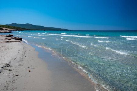 Téléchargez les photos : Journée d'été à Is Arenas Biancas, une belle plage dans le sud-ouest de la Sardaigne - en image libre de droit