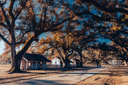 Foto de Oak Alley Plantation, Nueva Orleans, Luisiana en una hermosa puesta de sol - Imagen libre de derechos