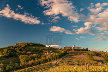Colorful sunset in the vineyards of Rosazzo, Udine, Friuli Venezia-Giulia