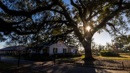 Foto de Oak Alley Plantation, Nueva Orleans, Luisiana en una hermosa puesta de sol - Imagen libre de derechos