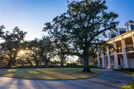 Photo for Oak Alley Plantation, New Orleans, Louisiana in a beautiful sunset - Royalty Free Image