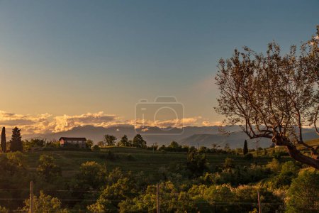 Coucher de soleil coloré dans les vignobles de Rosazzo, Udine, Frioul-Vénétie Julienne