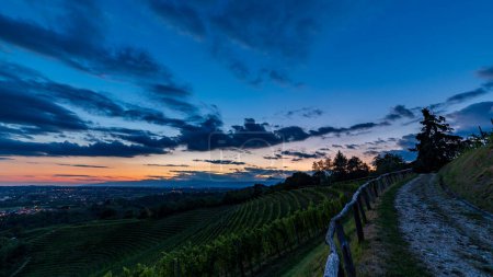 Le soleil se couche sur les vignobles de Savorgnano del Torre, Frioul-Vénétie Julienne, Italie