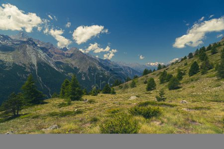 Téléchargez les photos : La belle vallée en face du Gran Paradiso dans une journée d'été - en image libre de droit