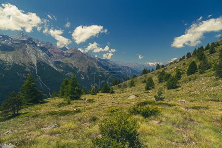 Téléchargez les photos : La belle vallée en face du Gran Paradiso dans une journée d'été - en image libre de droit